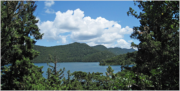 Vista de Mljet